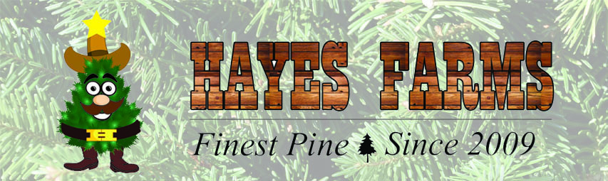 Hayes Farms, The Finest Pine Since 2009